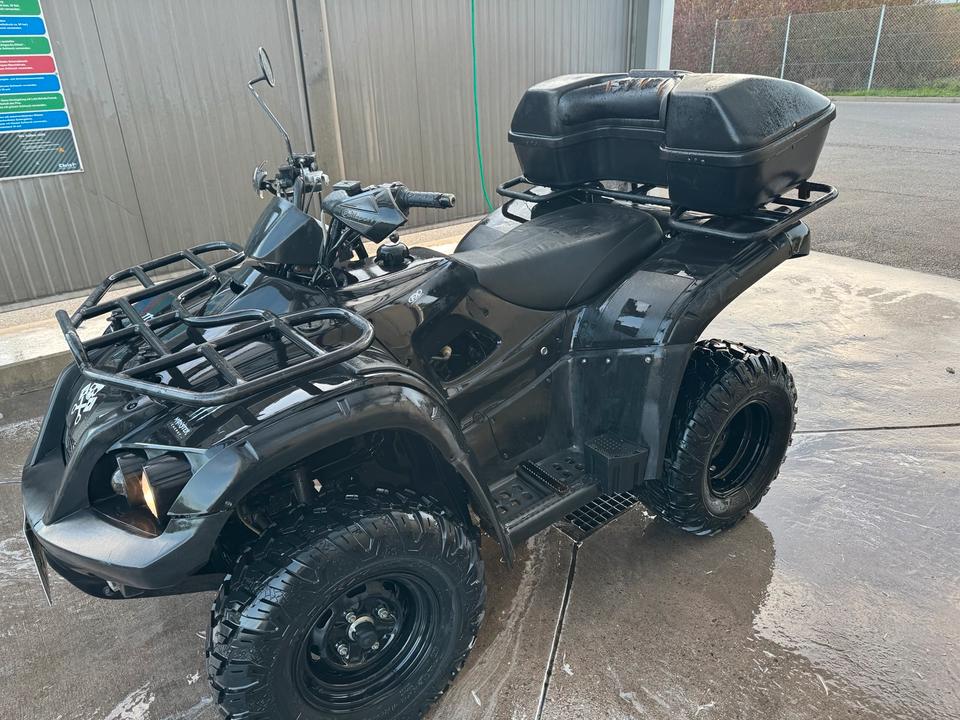 Weitere Motorräder ATV TGB Blade 250 Quad mit Anhängerkupplung 2008 — rear view