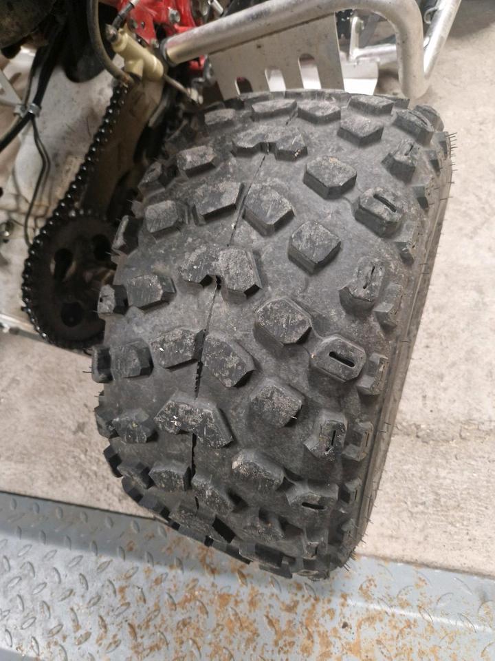 Weitere Motorräder Quad Triton Baja 300 2010 — rear view