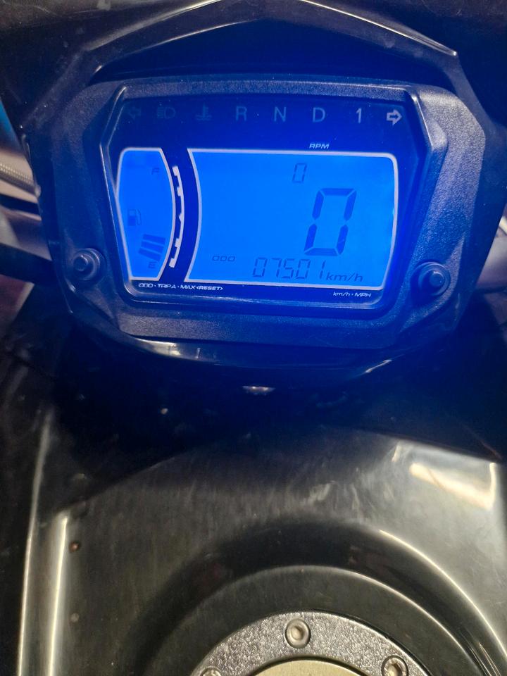 Weitere Motorräder Quad Triton Baja 300 2010 — engine 280 ccm