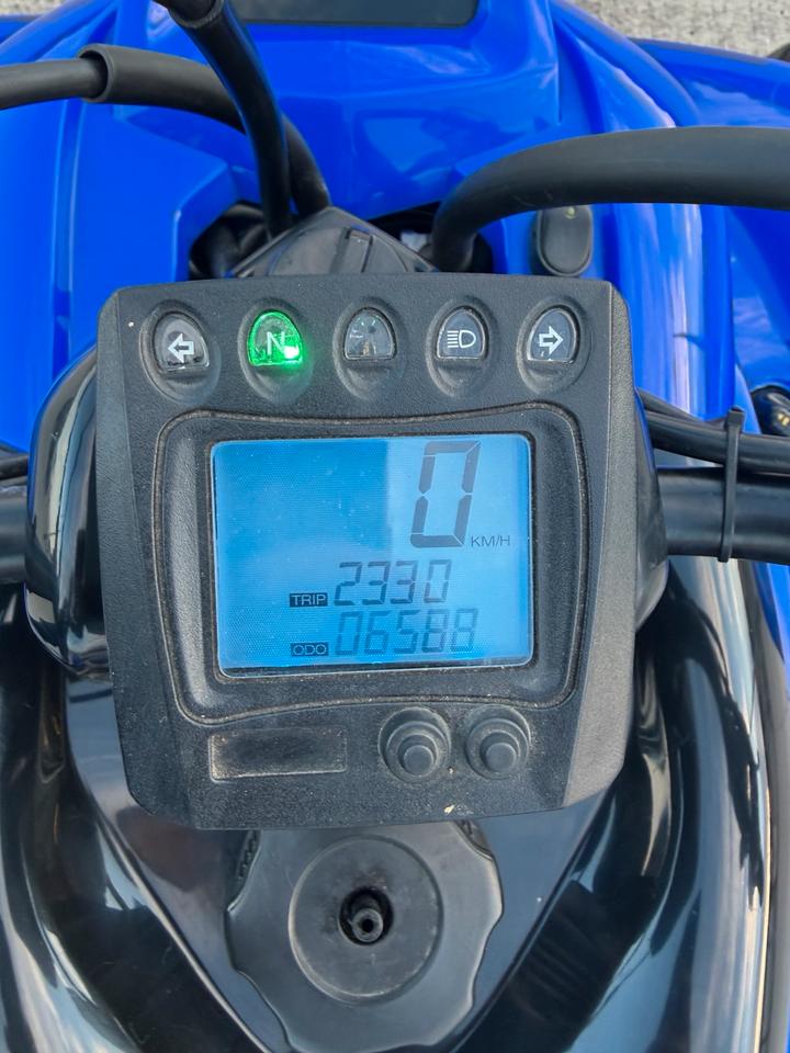 Yamaha Gelöscht • Yamaha Raptor 700R | LOF | 6.588 km | TÜV 04/28 | Breit & Tief 2007 — фото 5
