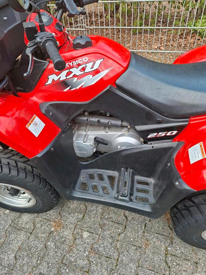 Kymco Quad zu Verkaufen 2005 — photo 5