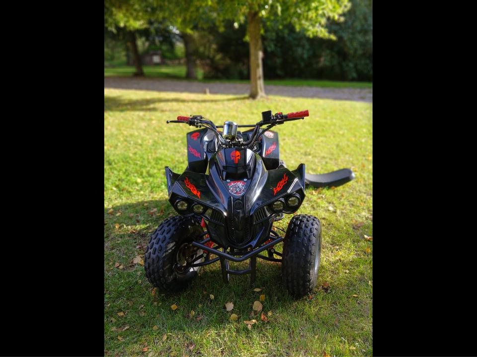  Quad 125ccm 2014 — rear view