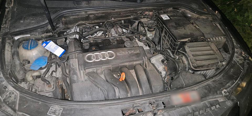 Audi A3 2005 — photo 13