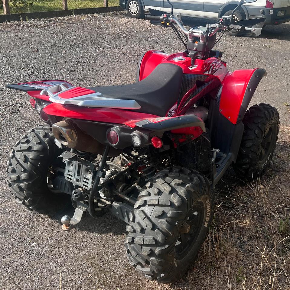Weitere Motorräder TGB Target 550 IRS Quad - Wenig gelaufen, Top Zustand! 2015 — двигун 550 ccm