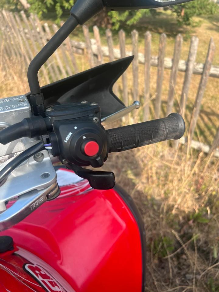 Weitere Motorräder TGB Target 550 IRS Quad - Wenig gelaufen, Top Zustand! 2015 — фото 6