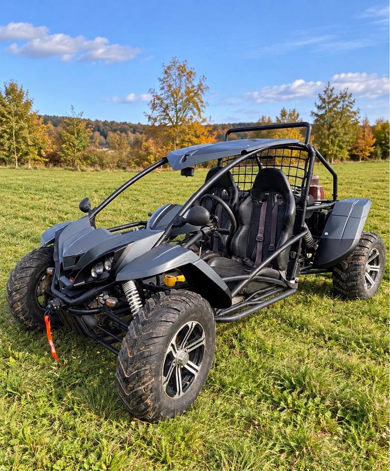  Buggy 4x4 800cc mit Straßenzulassung 2010 — vehicle for AFU Ukraine