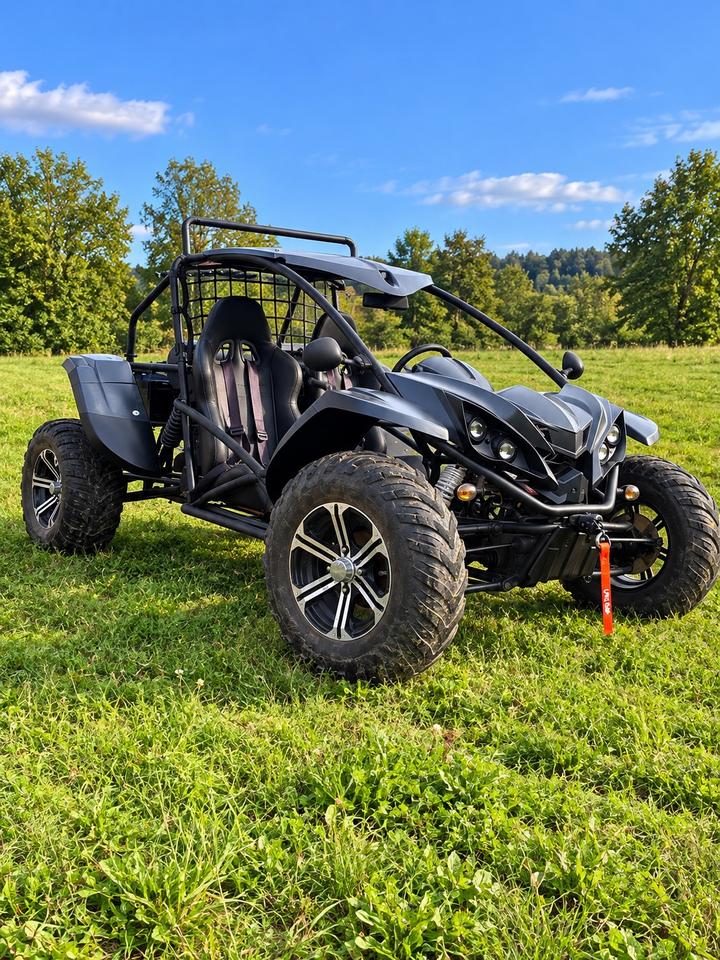  Buggy 4x4 800cc mit Straßenzulassung 2010 — rear view