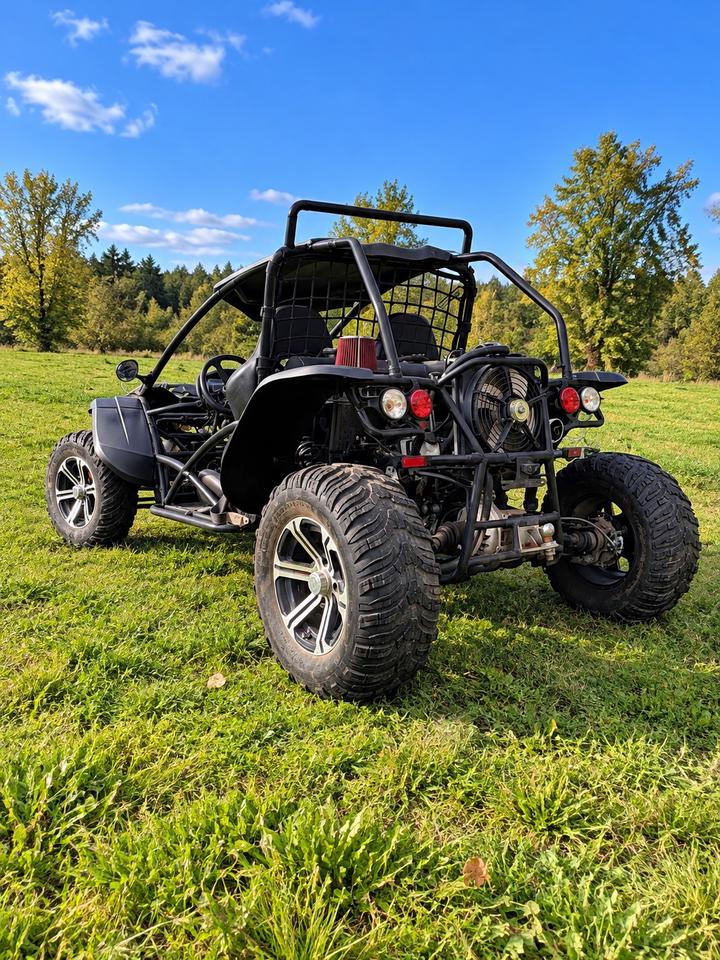  Buggy 4x4 800cc mit Straßenzulassung 2010 — interior