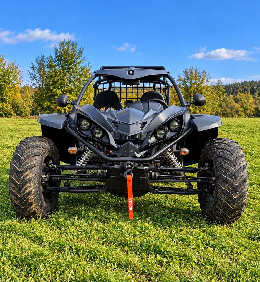  Buggy 4x4 800cc mit Straßenzulassung 2010 — engine 800 ccm