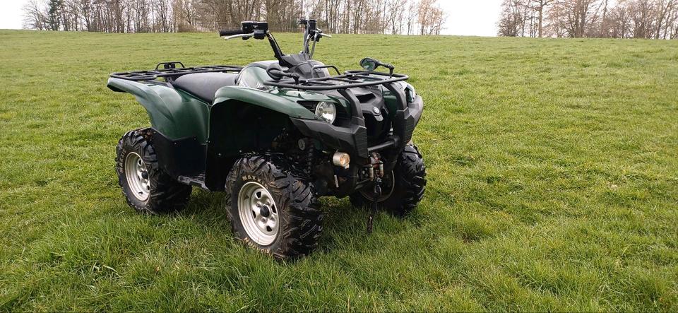 Yamaha Gelöscht • Yamaha Grizzly 2010 — вигляд ззаду