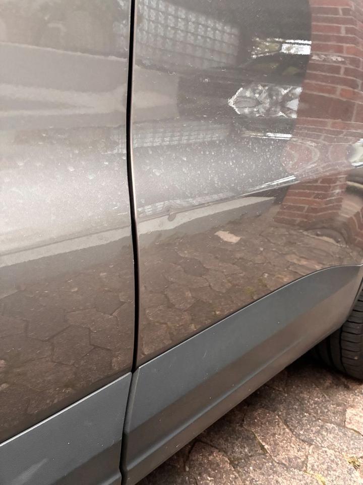 Volkswagen Tiguan 2009 — photo 12