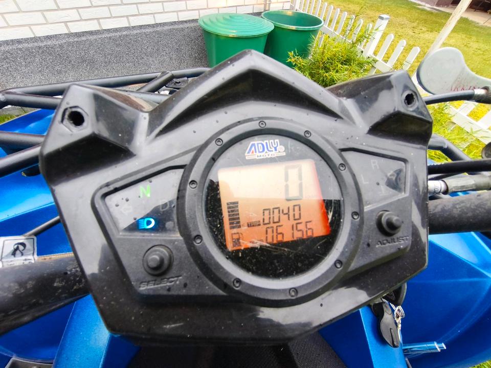 Weitere Motorräder QUAD ADLY HURRICANE ATV 320 2010 — rear view
