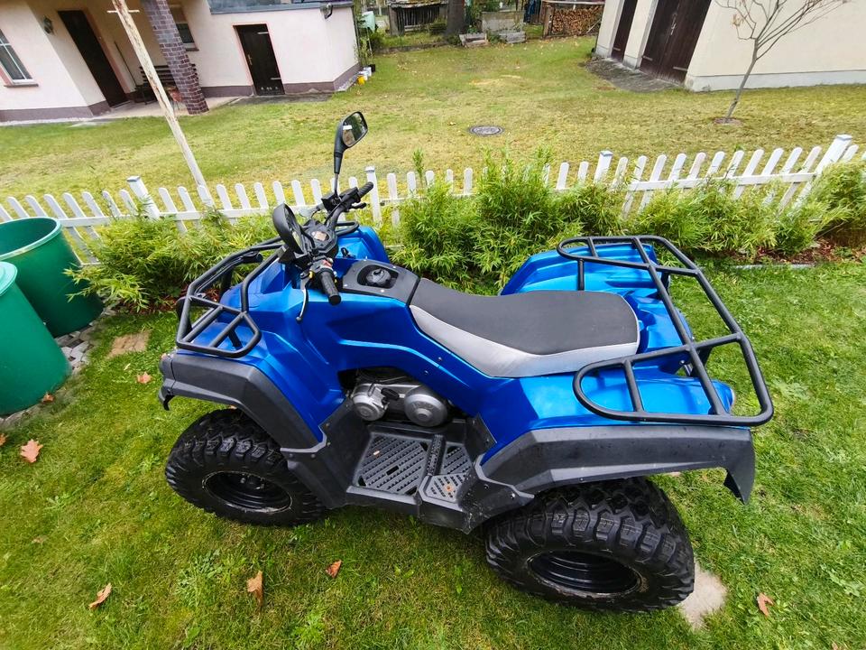 Weitere Motorräder QUAD ADLY HURRICANE ATV 320 2010 — interior