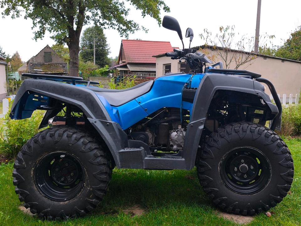 Weitere Motorräder QUAD ADLY HURRICANE ATV 320 2010 — photo 5
