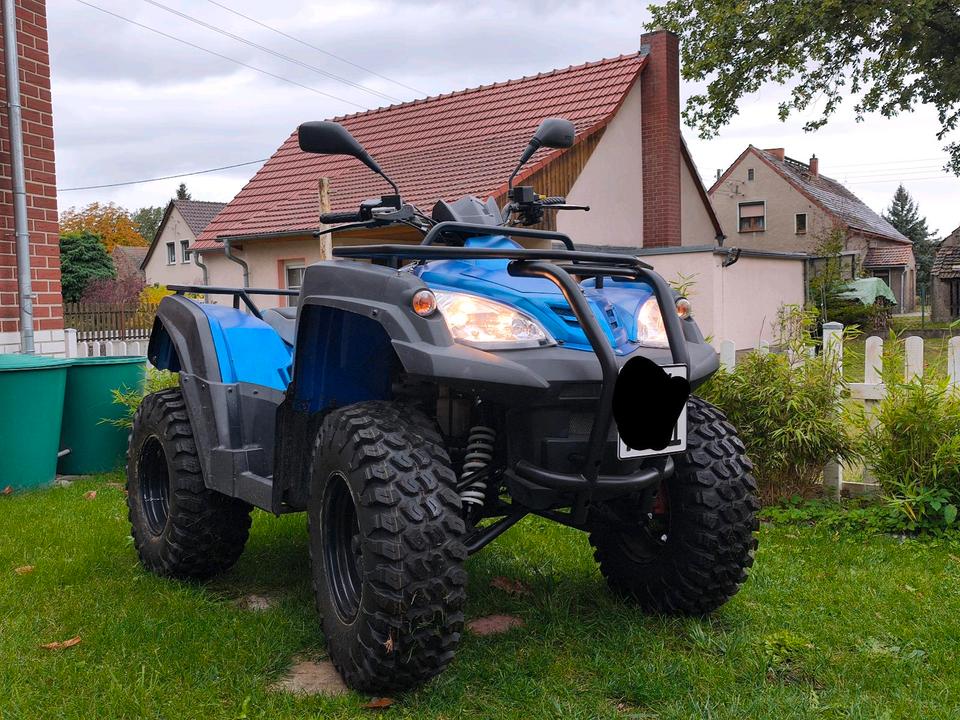Weitere Motorräder QUAD ADLY HURRICANE ATV 320 2010 — photo 7