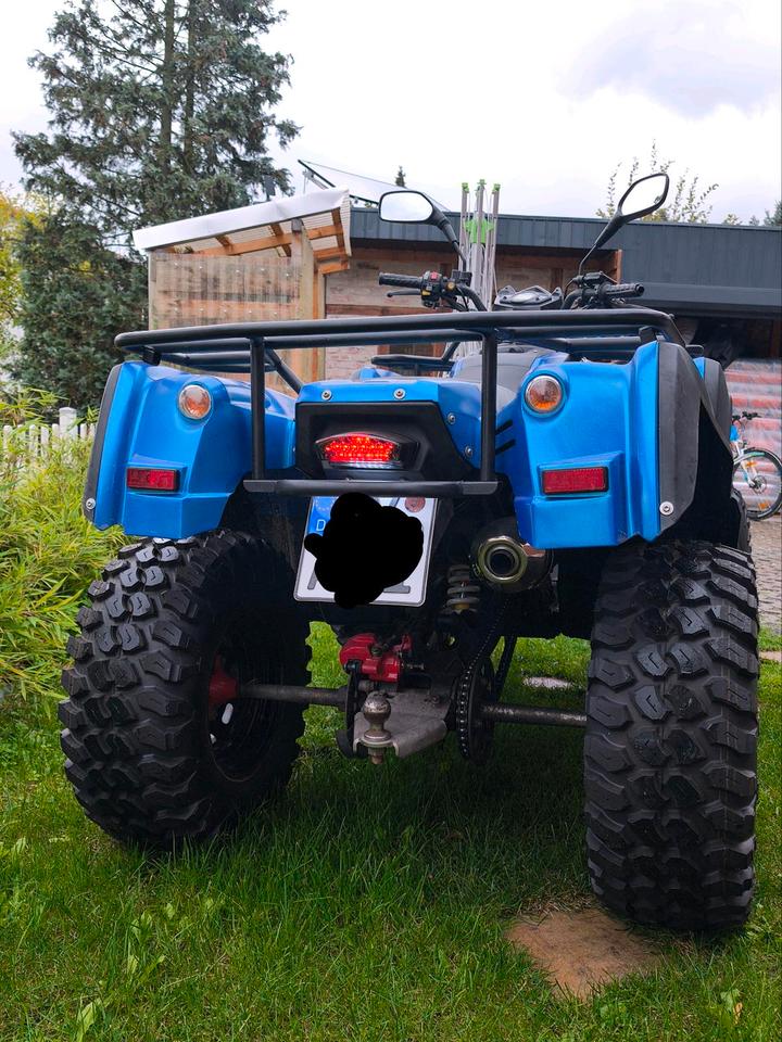 Weitere Motorräder QUAD ADLY HURRICANE ATV 320 2010 — photo 8
