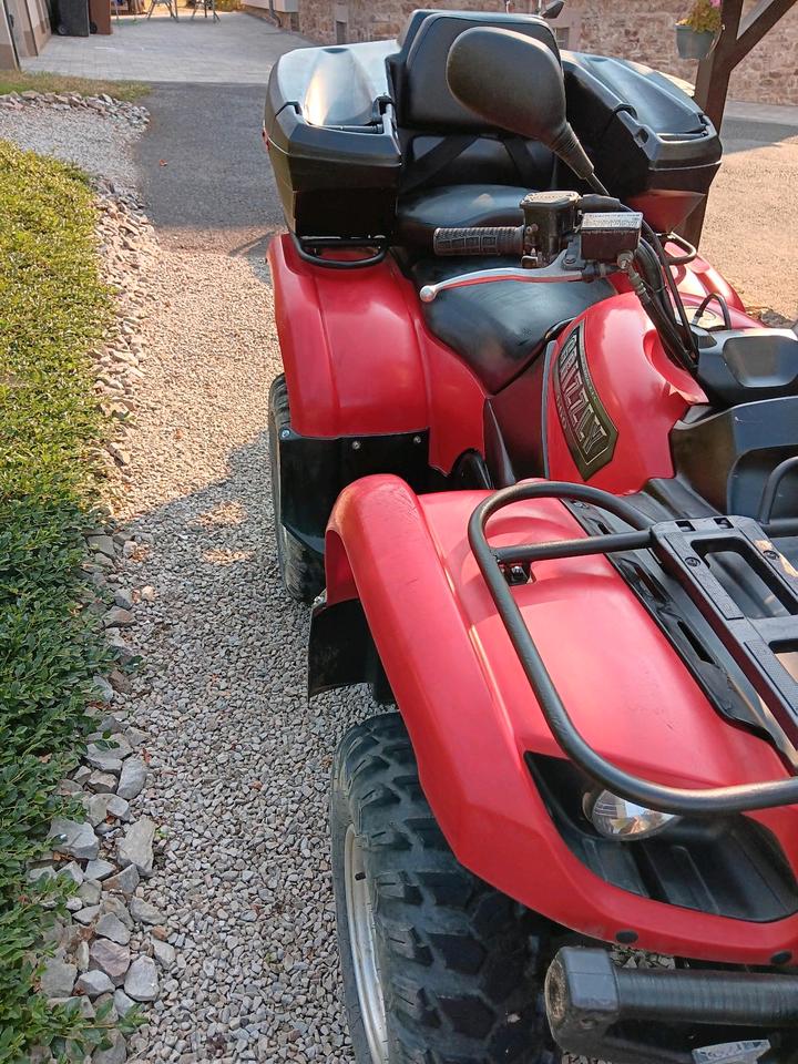Yamaha ein schönes Quad Yamaha Grizzly 660 mit Koffer an 2007 — rear view