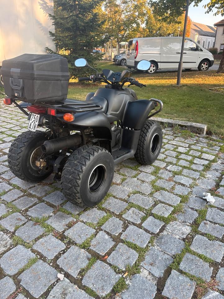 Weitere Motorräder Quad 50ccm 2tackt Moped pgo 2011 — interior
