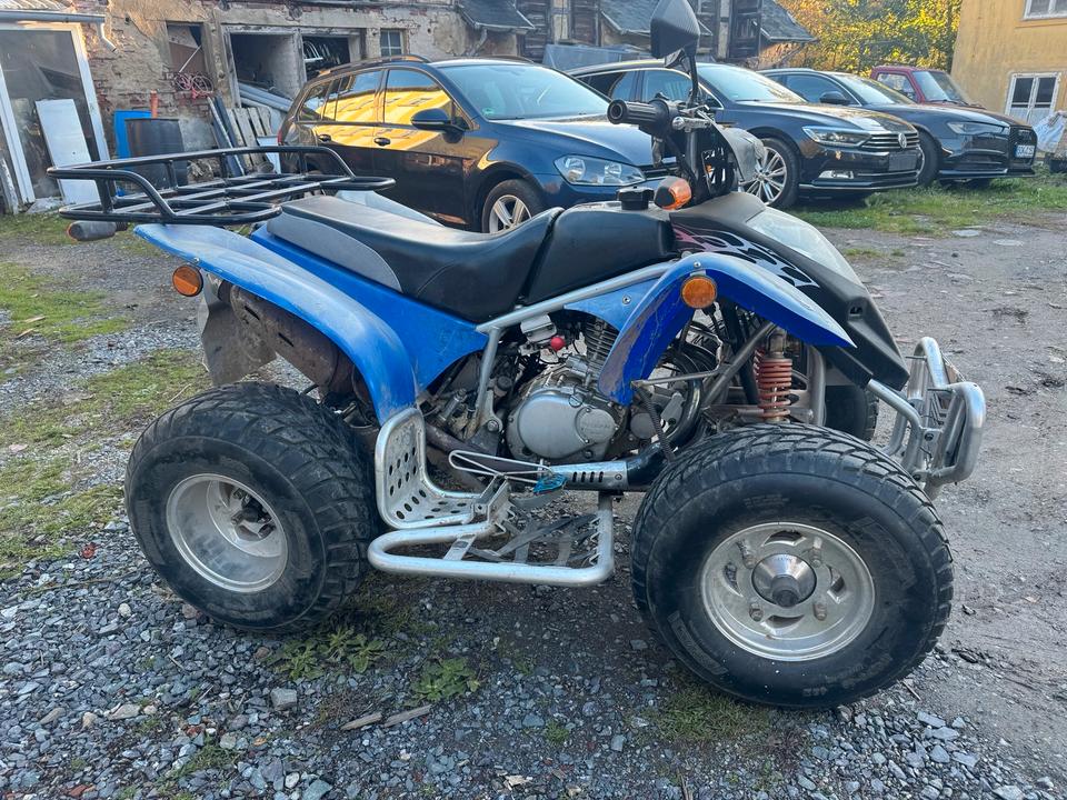 Weitere Motorräder Quad Extreme 300 ccm.TÜV10/2027. 2006 — салон