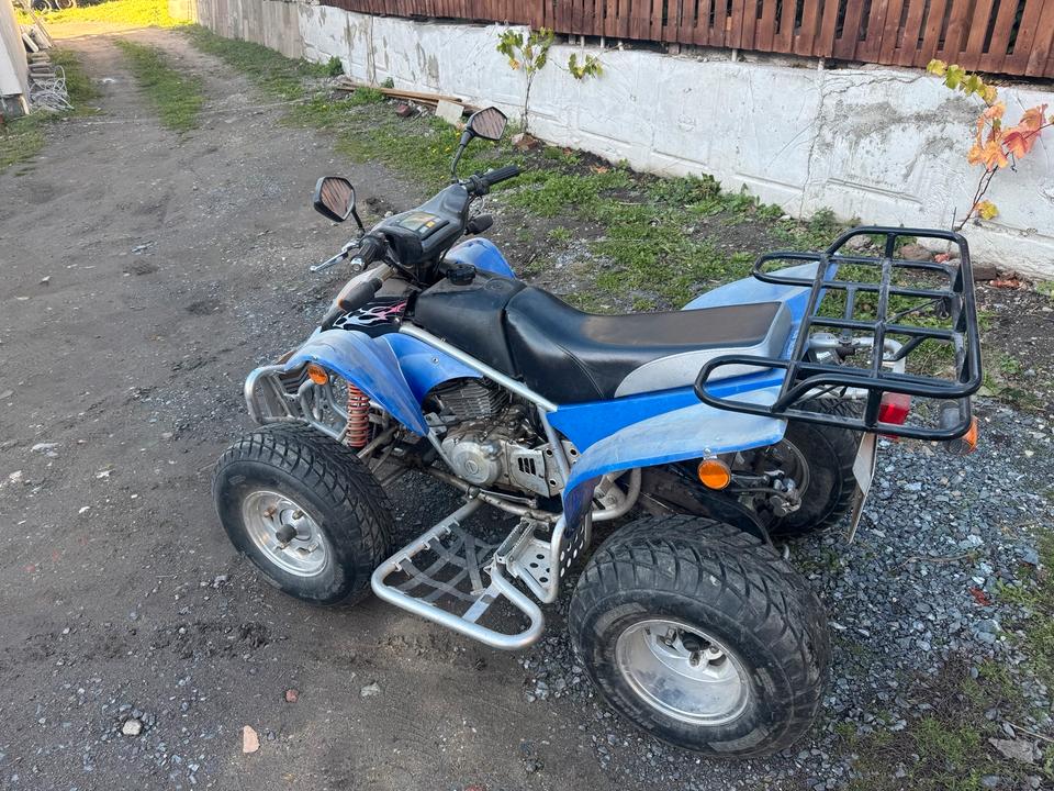 Weitere Motorräder Quad Extreme 300 ccm.TÜV10/2027. 2006 — двигун 300 ccm