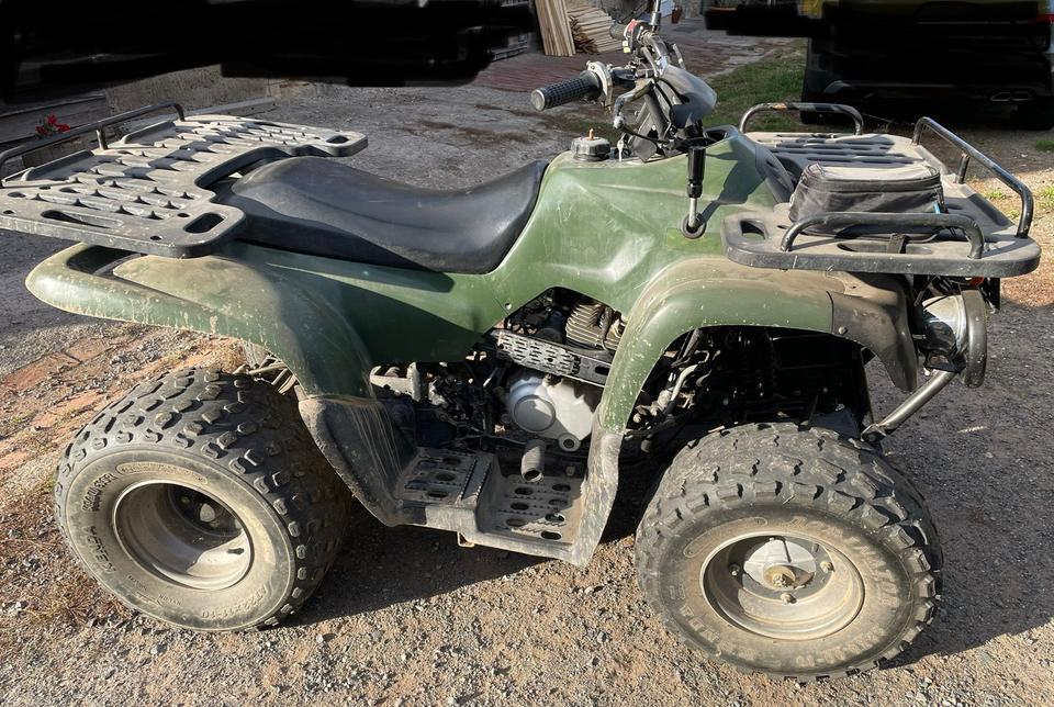 MZ Quad MZ Bison MT 175 2005 — rear view