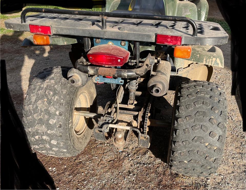 MZ Quad MZ Bison MT 175 2005 — engine 175 ccm