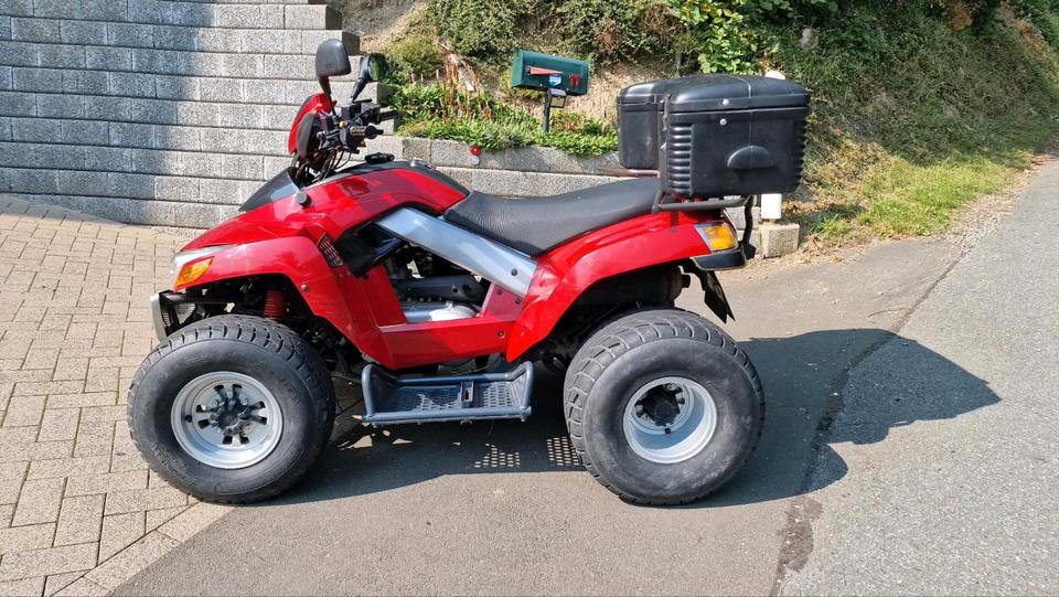 Weitere Motorräder Quad Lander 250 4 Takt 2005 — rear view