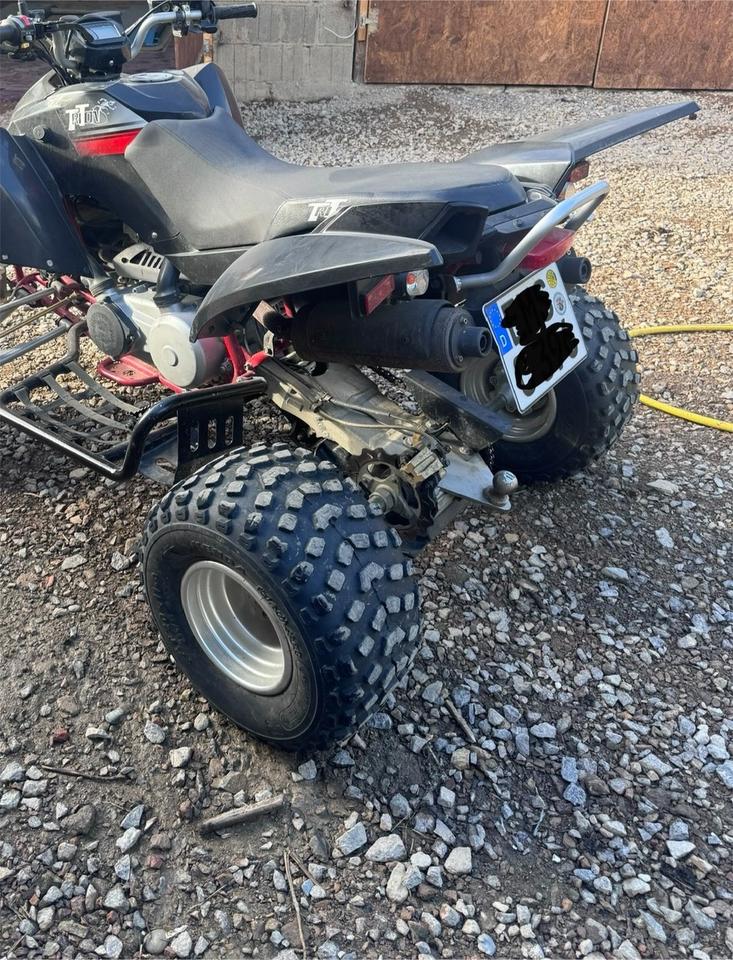  Access Triton 300 2011 — engine 300 ccm