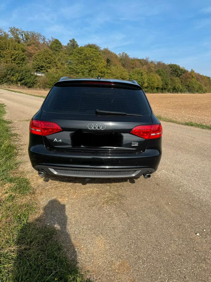 Audi A4 2011 — вигляд ззаду