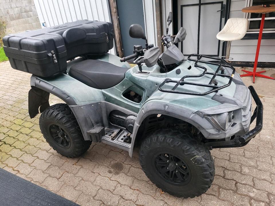  Verkaufe quad TGB Blade 500. 4x4 irs 2013 — rear view