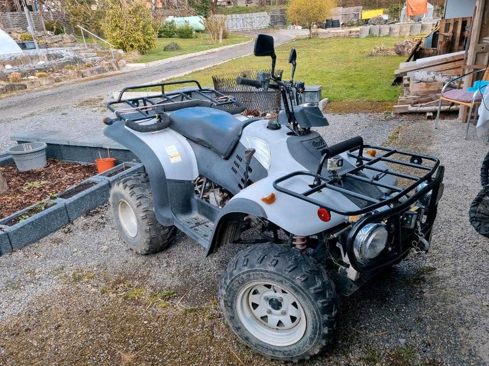  Quad Linhai Ranger 260ccm ATV 2005 — rear view