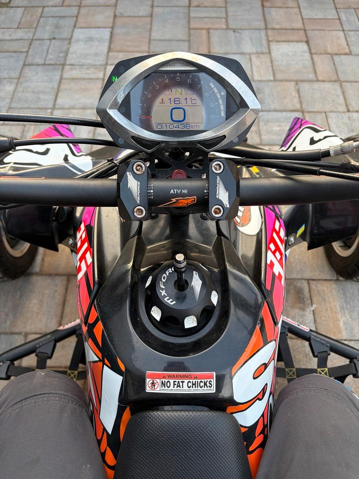 Suzuki LT-R 450/ Reiger Fahrwerk/ Breitbau/ Einzelstück/ LOF 2008 — engine 450 ccm