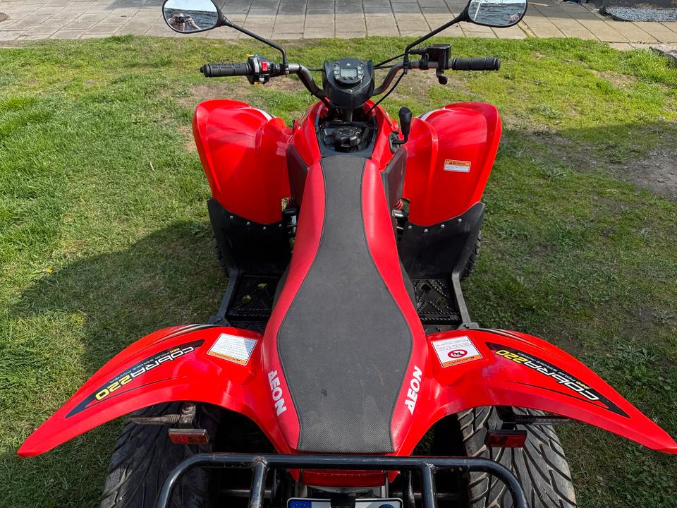  Aeon Cobra 220 Quad (Tauch Möglich ) 2005 — photo 5
