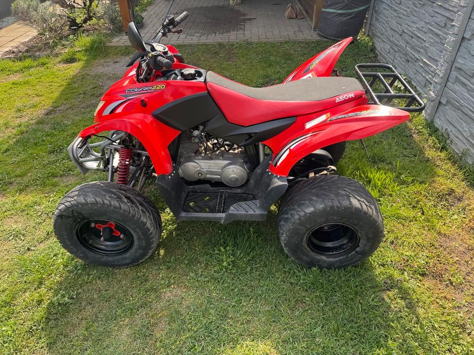  Aeon Cobra 220 Quad (Tauch Möglich ) 2005 — photo 6