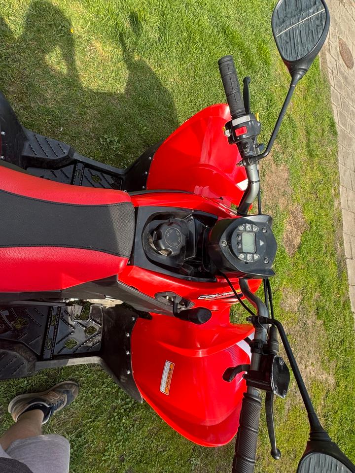  Aeon Cobra 220 Quad (Tauch Möglich ) 2005 — photo 7