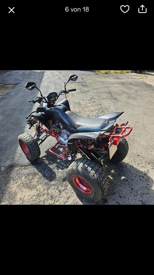 Weitere Motorräder Motorrad Quad 2006 — rear view
