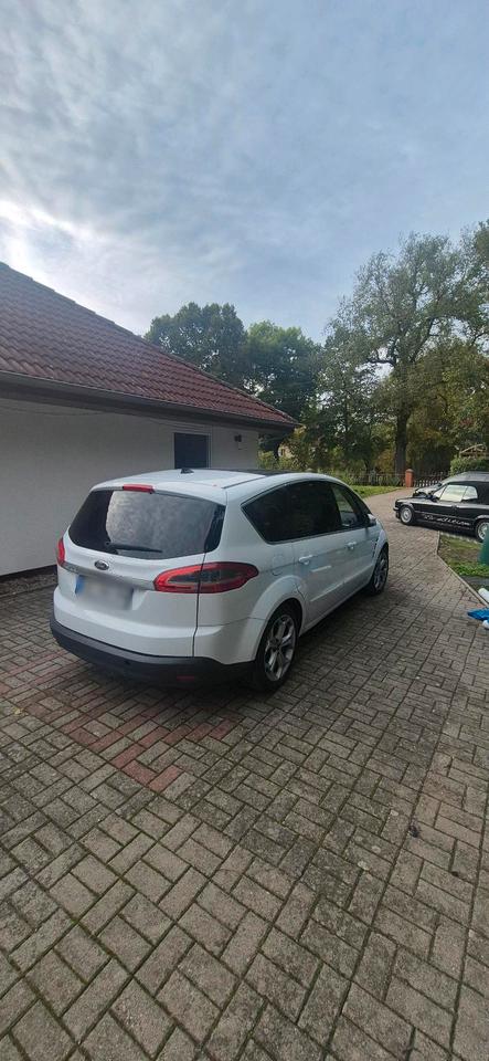 Ford S-Max 2010 — engine