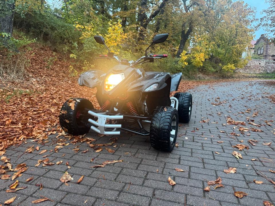 Weitere Motorräder Beeline Bestia 3.3 2012 — vehicle for AFU Ukraine