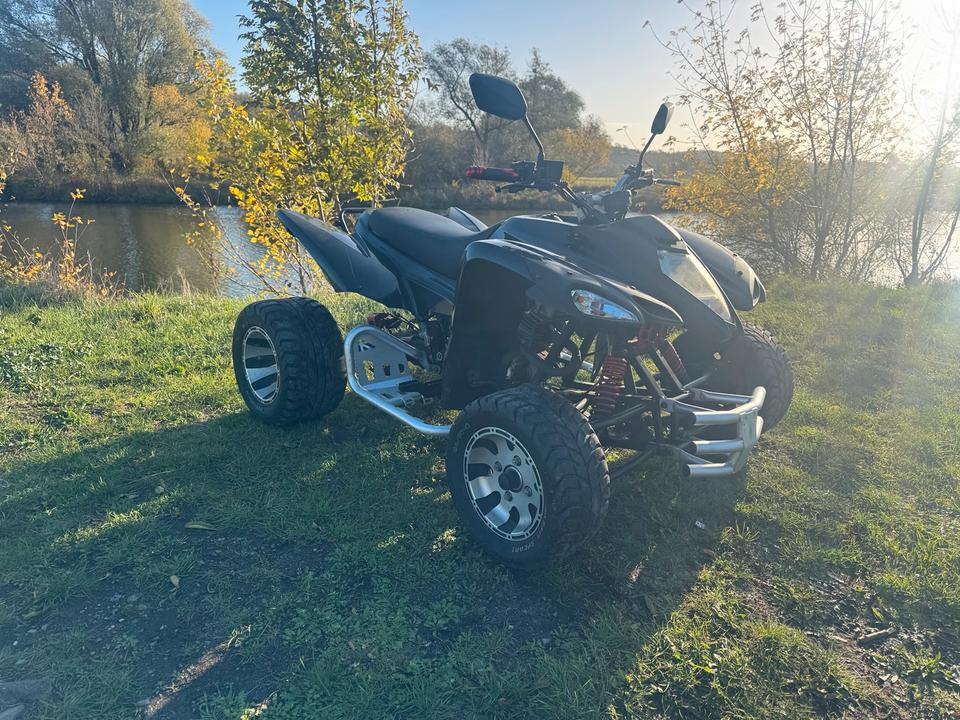 Weitere Motorräder Beeline Bestia 3.3 2012 — rear view