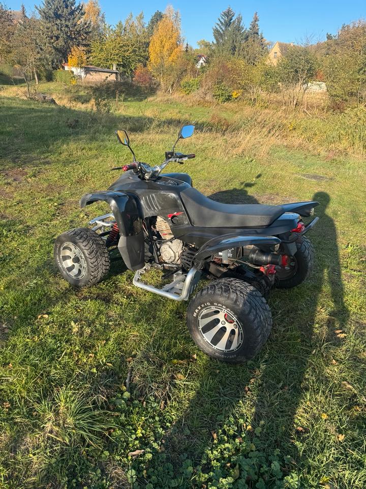 Weitere Motorräder Beeline Bestia 3.3 2012 — photo 6