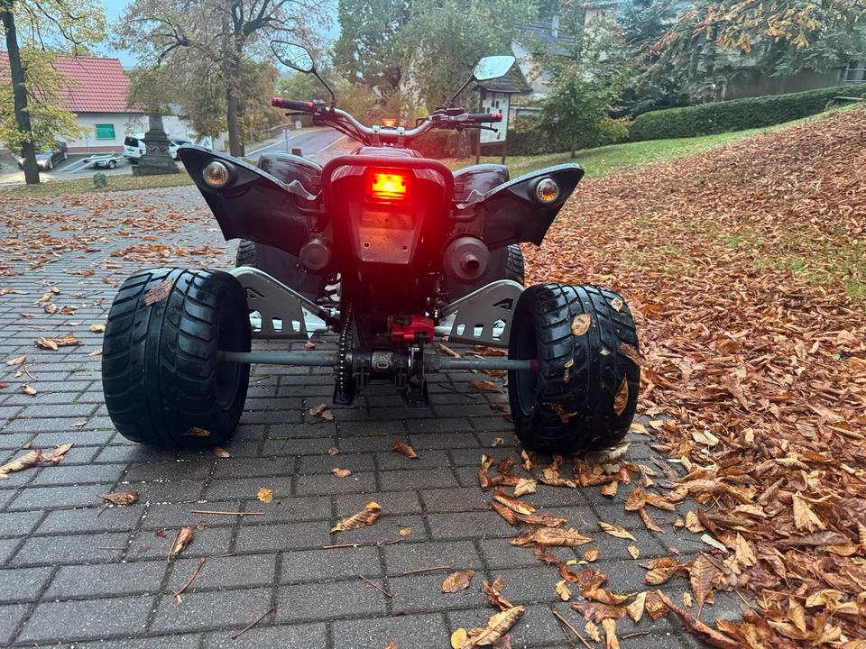 Weitere Motorräder Beeline Bestia 3.3 2012 — photo 9
