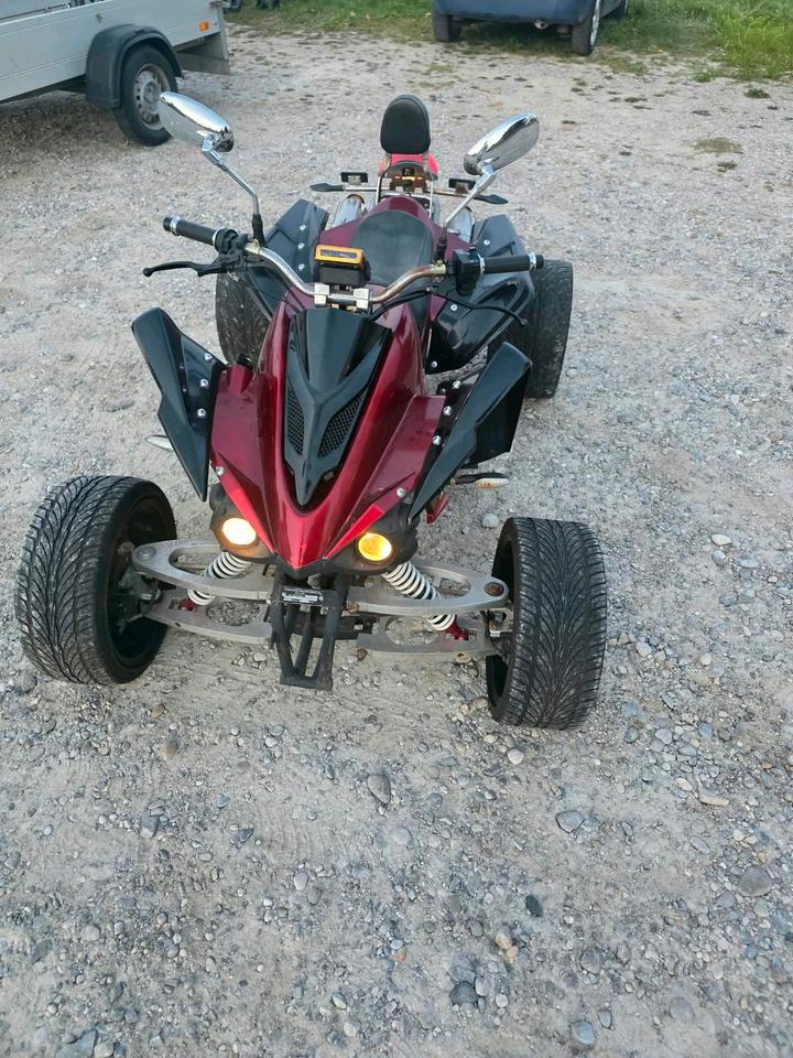 Weitere Motorräder quad 250ccm 2010 — rear view