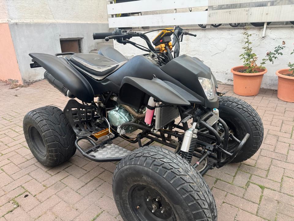  Bashan 200s7 2007 — photo 12