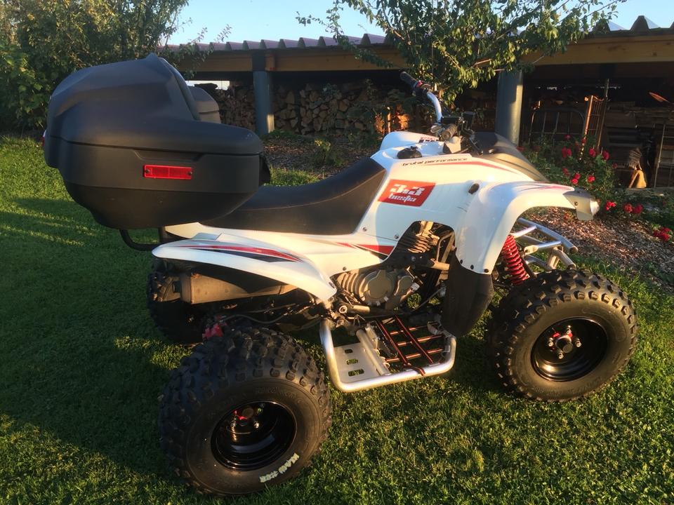 Weitere Motorräder Quad Bestia Beeline 3.3 2012 — rear view