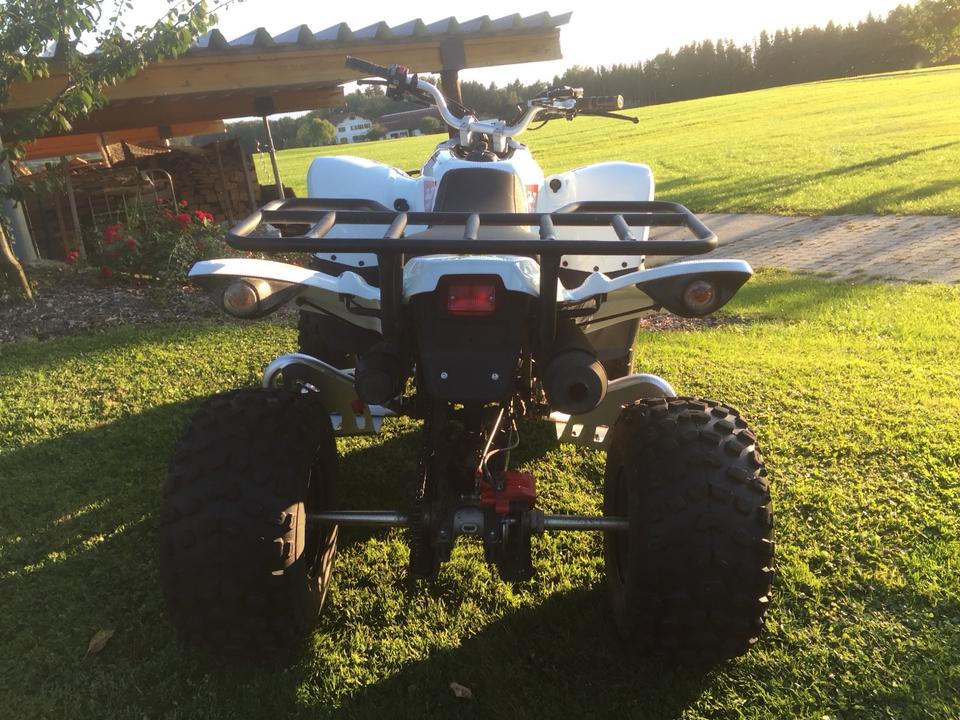Weitere Motorräder Quad Bestia Beeline 3.3 2012 — interior