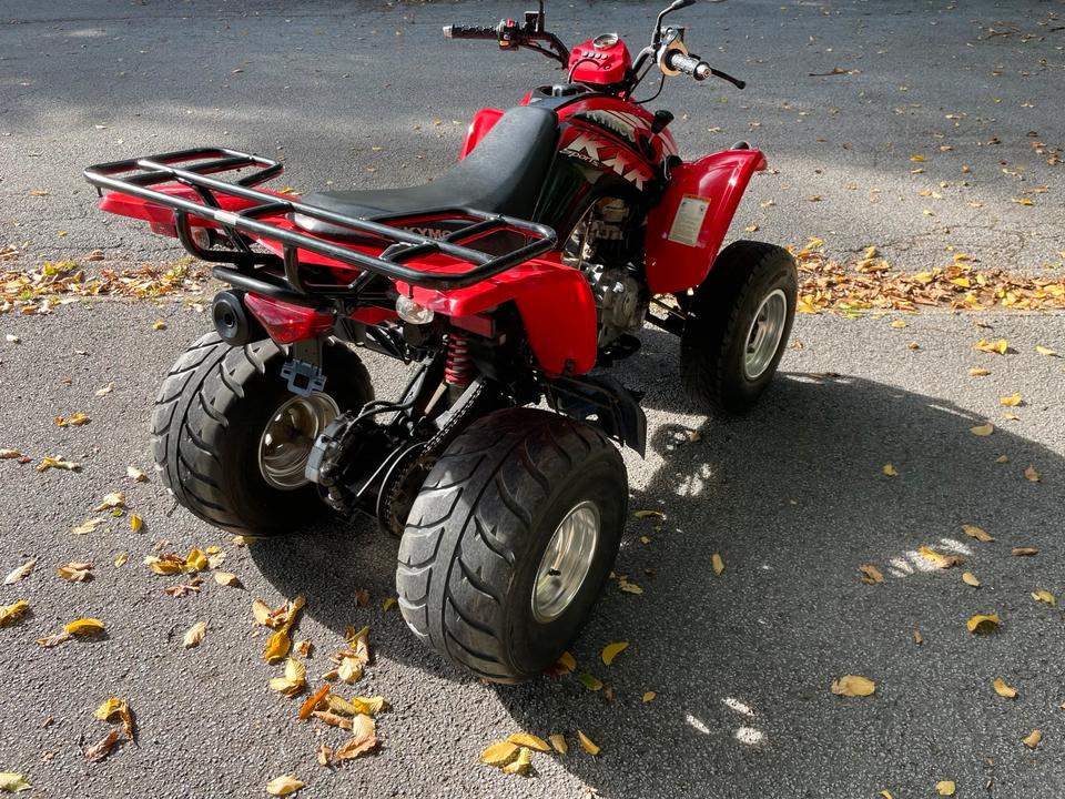 Kymco Gelöscht • Kymco KXR 250 Sports - TÜV 08/28 2007 — фото 5