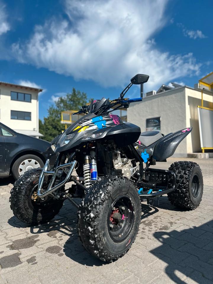  Dinli 450 demon 2011 — engine 450 ccm