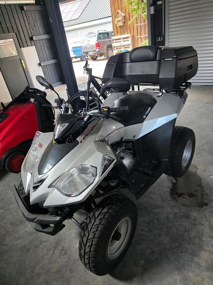 Weitere Motorräder E-Ton Vector 300ccm Quad 2012 — vehicle for AFU Ukraine