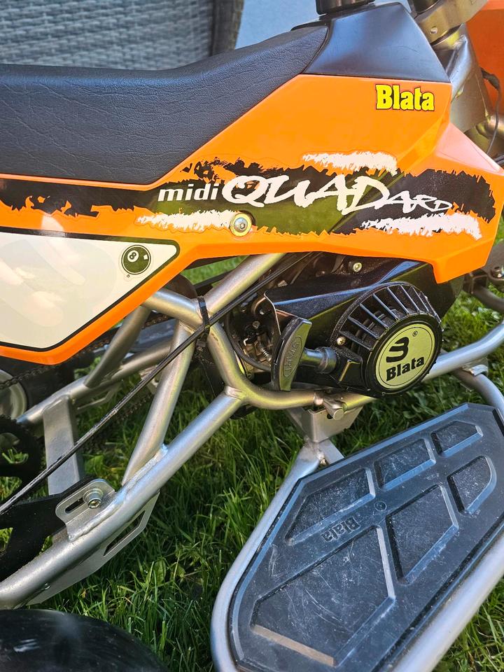 Weitere Motorräder Orginal Blata Midi Quadard Pocket Quad 2004 — photo 10