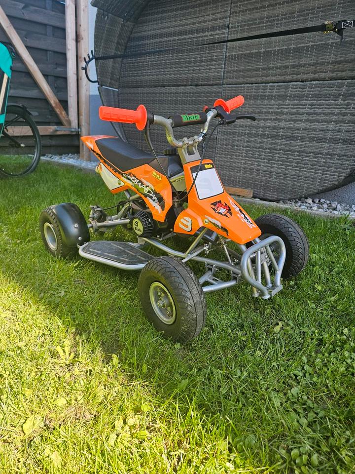 Weitere Motorräder Orginal Blata Midi Quadard Pocket Quad 2004 — photo 11